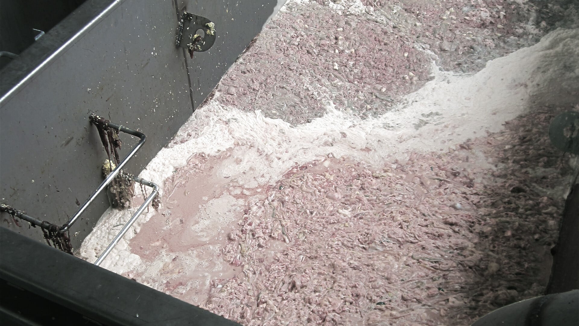 HoSt biogas plant - feedstock - slaughterhouse waste