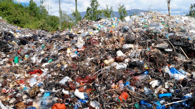 HoSt biogas plant - feedstock - polluted waste