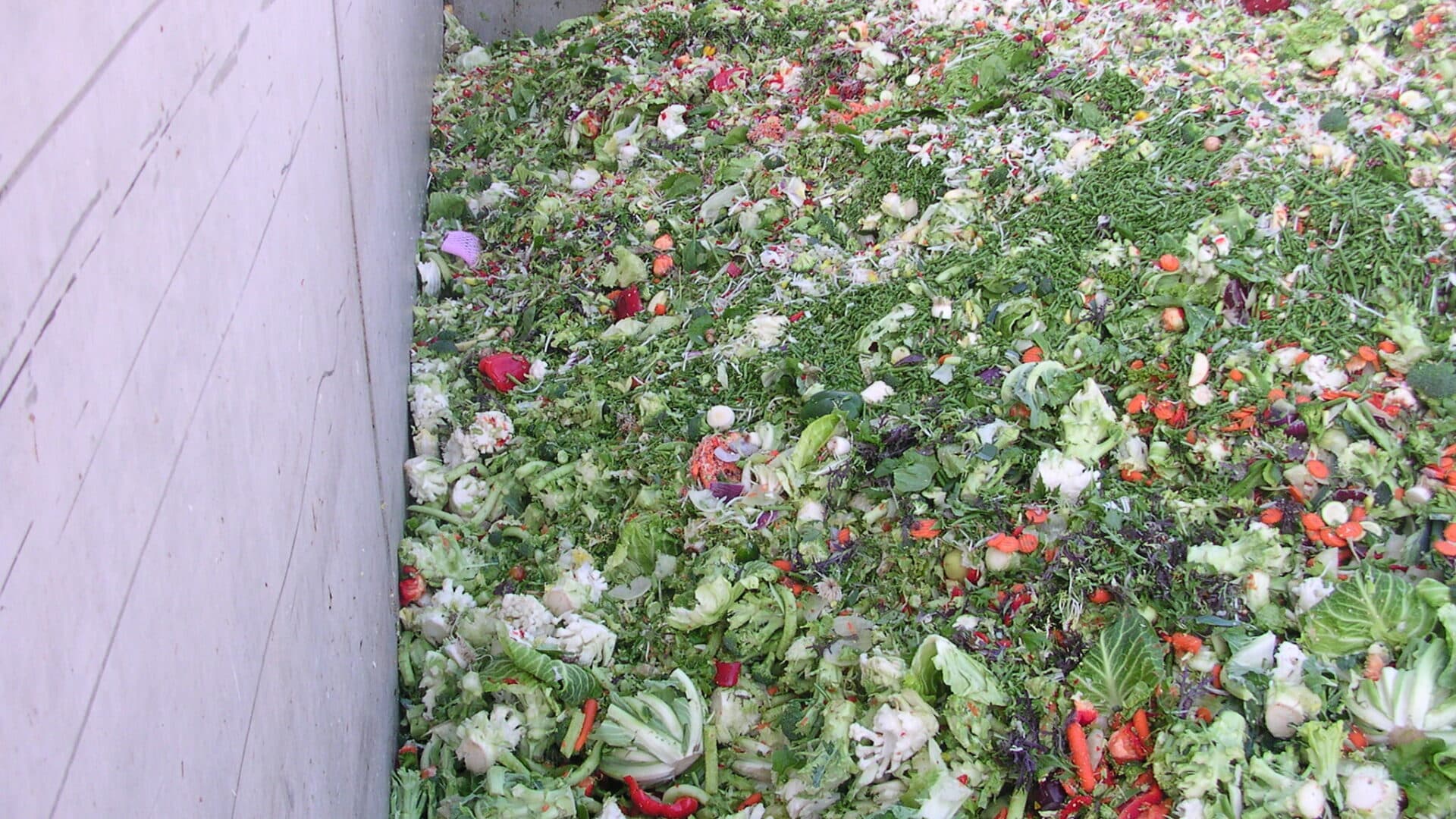 Biogas plant feedstock food waste