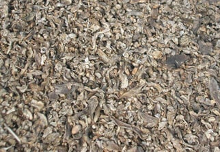 Brewery, dairy, and food-processing residues - Biogas plant feedstock